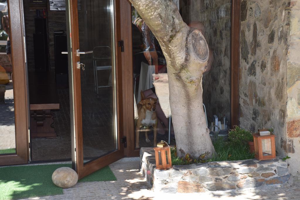 Hotel Quinta Da Boa Ventura Bragança Zewnętrze zdjęcie