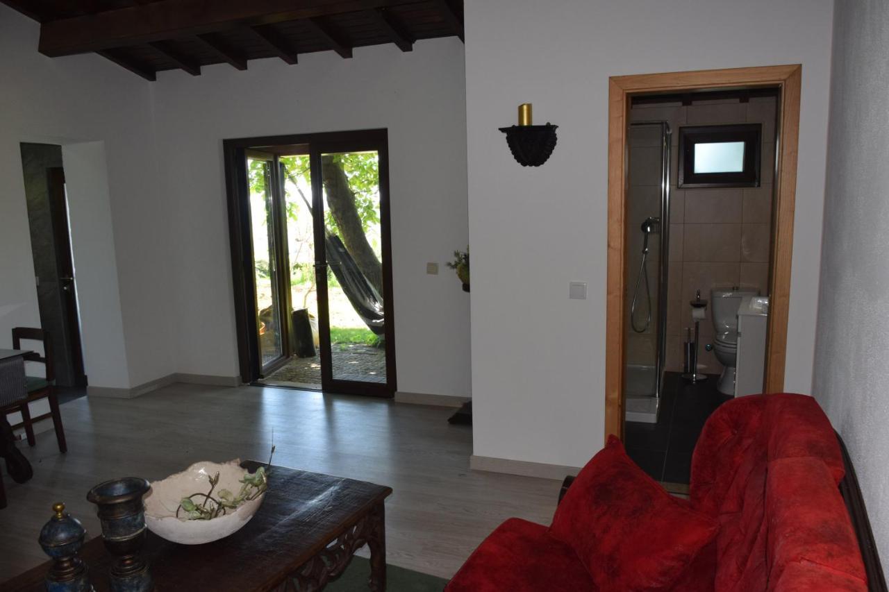 Hotel Quinta Da Boa Ventura Bragança Zewnętrze zdjęcie