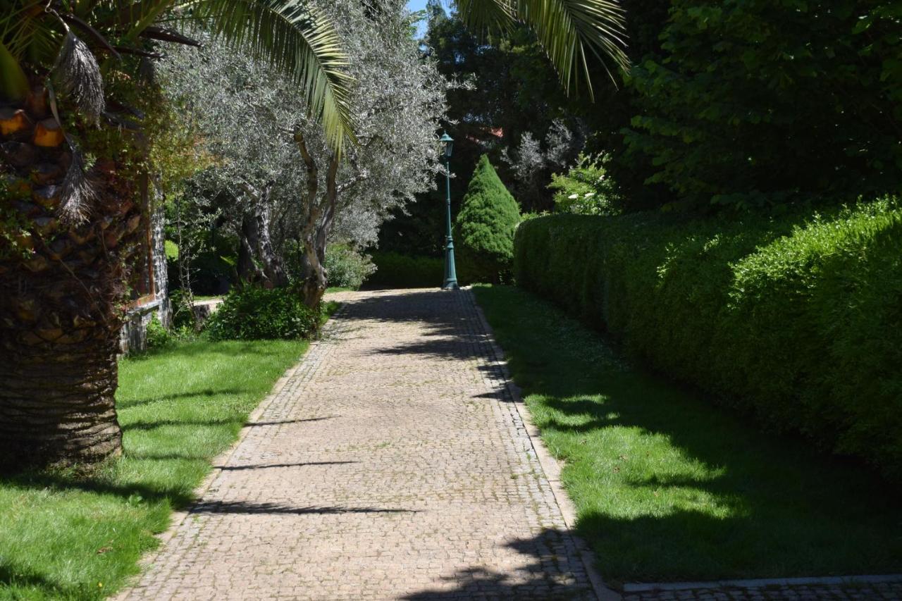 Hotel Quinta Da Boa Ventura Bragança Zewnętrze zdjęcie